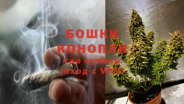 амф Богородицк