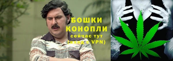 ПСИЛОЦИБИНОВЫЕ ГРИБЫ Бронницы
