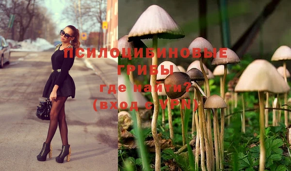 spice Богородск