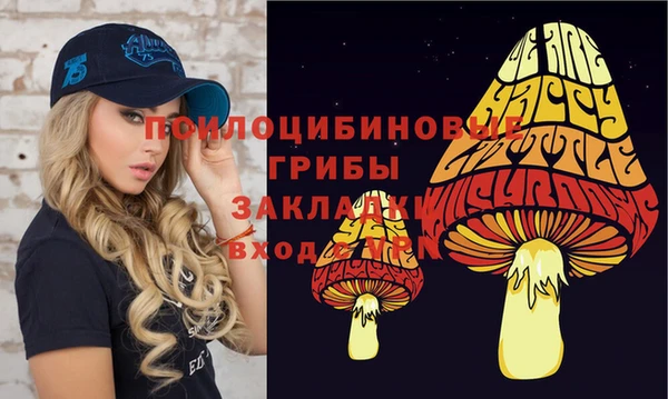 spice Богородск