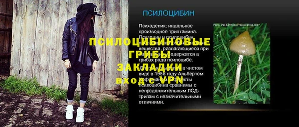 ПСИЛОЦИБИНОВЫЕ ГРИБЫ Бронницы