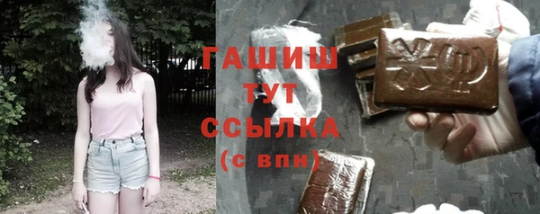 spice Богородск