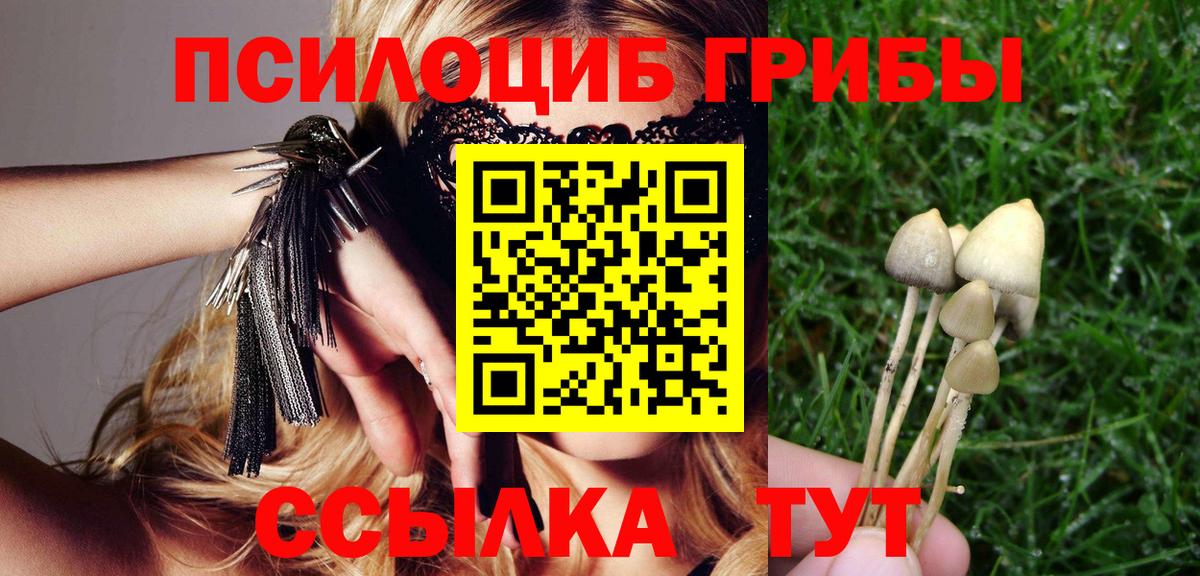 Псилоцибиновые грибы Psilocybe Семилуки