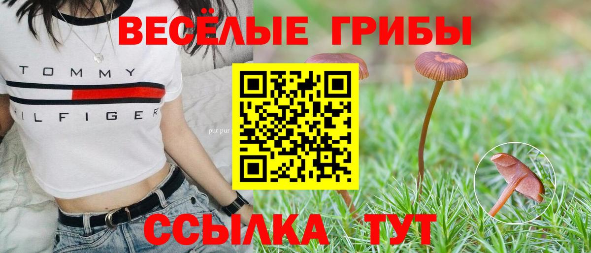 Галлюциногенные грибы Magic Shrooms  Псилоцибиновые грибы GOLDEN TEACHER  Семилуки  Вход с VPN 